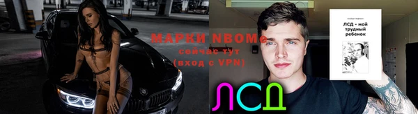 сатива Аркадак