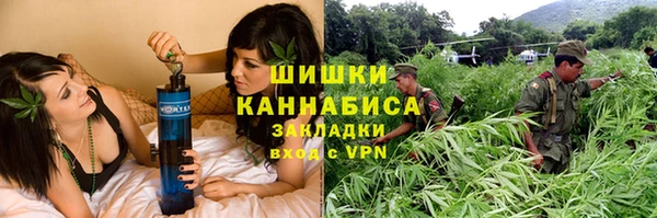 сатива Аркадак