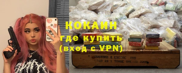 сатива Аркадак