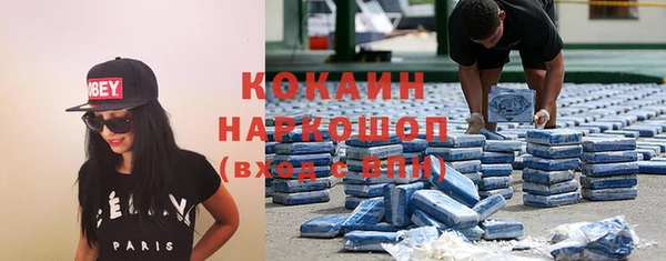 сатива Аркадак