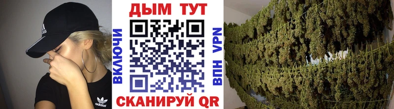 купить наркоту  Фролово  MEGA   МАРИХУАНА тримм 